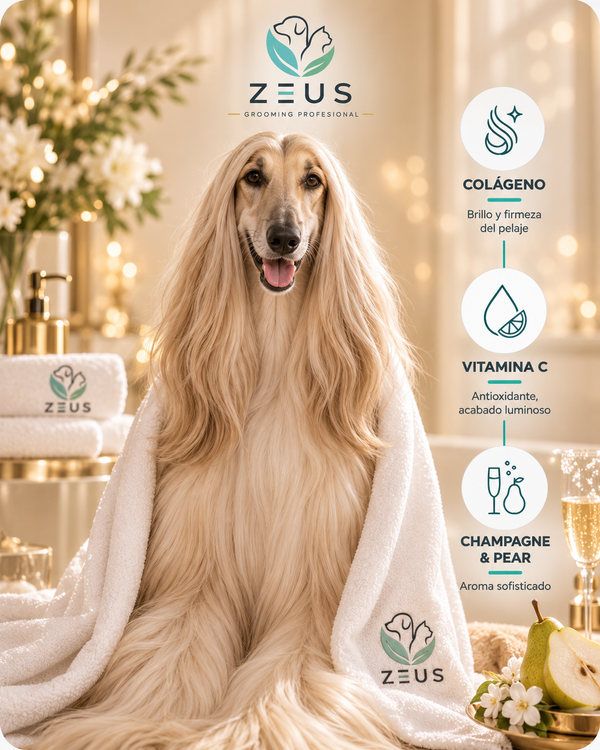 Shampoo Iluminador | Colágeno y Vitamina C